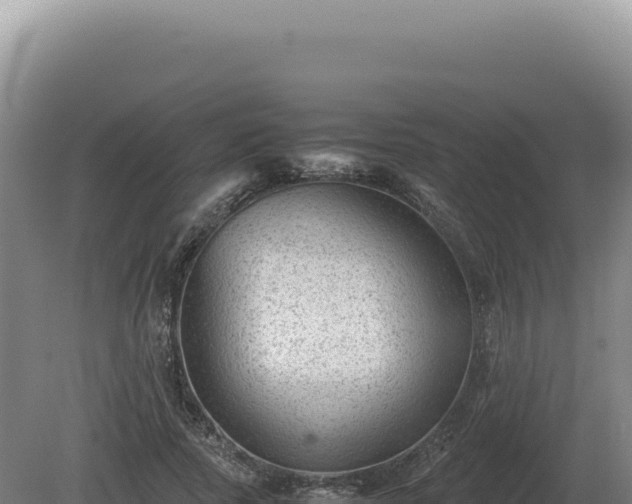 X0000081470737200701191805