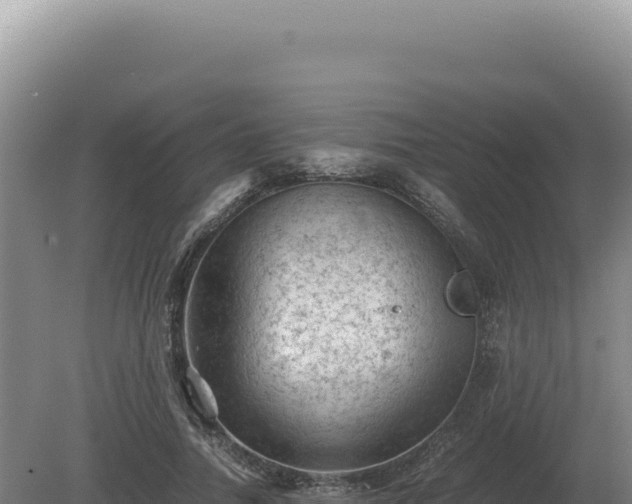 X0000081470738200701191805