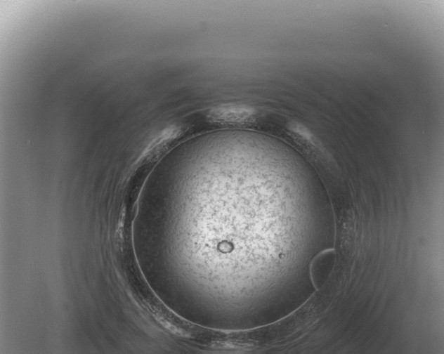 X0000081470739200701191805