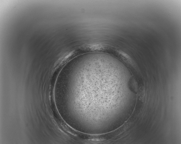 X0000081470740200701191805