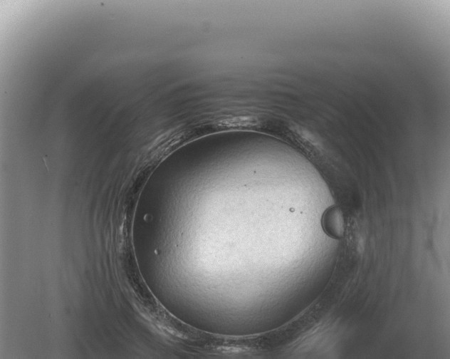 X0000081470741200701191805