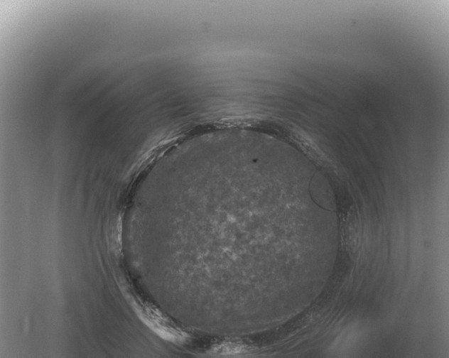 X0000081470742200701191805