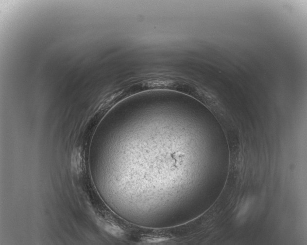 X0000081470743200701191805