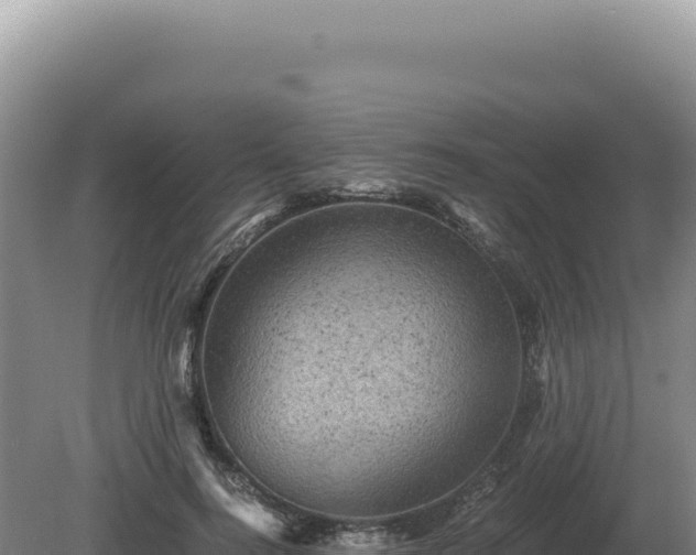 X0000081470744200701191805