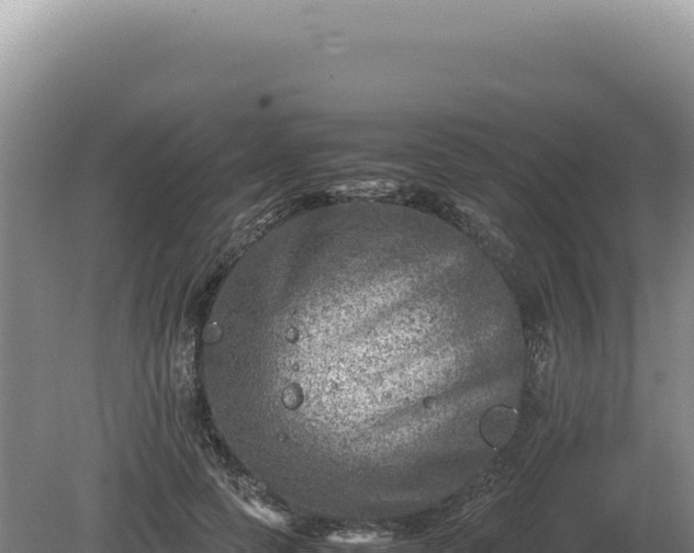 X0000081470745200701191805