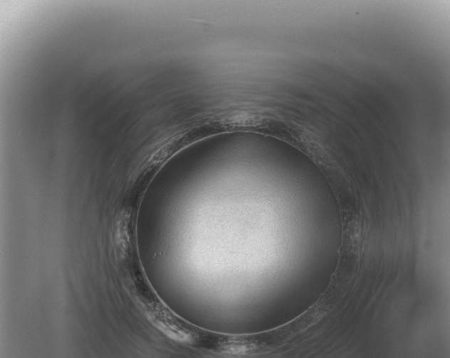 X0000081470746200701191805