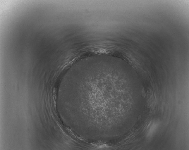 X0000081470747200701191805