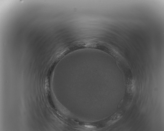 X0000081470748200701191805