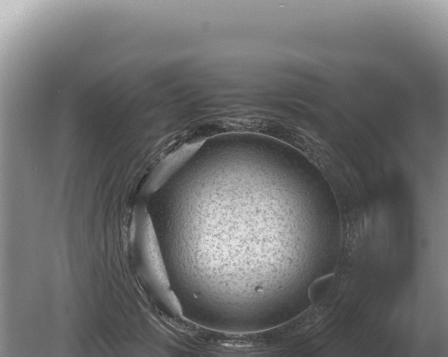 X0000081470749200701191805