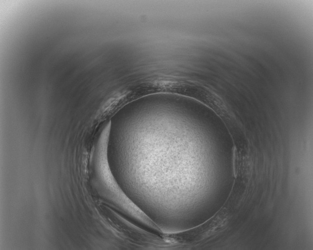 X0000081470750200701191805