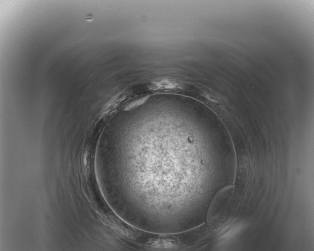 X0000081470751200701191805