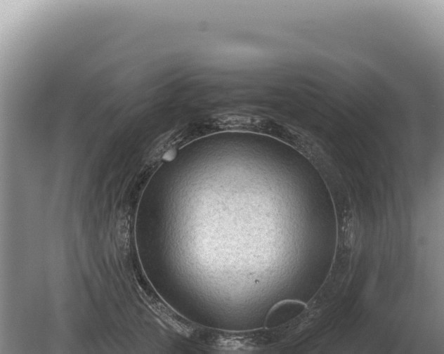 X0000081470753200701191805