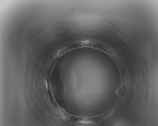 X0000081470754200701191805