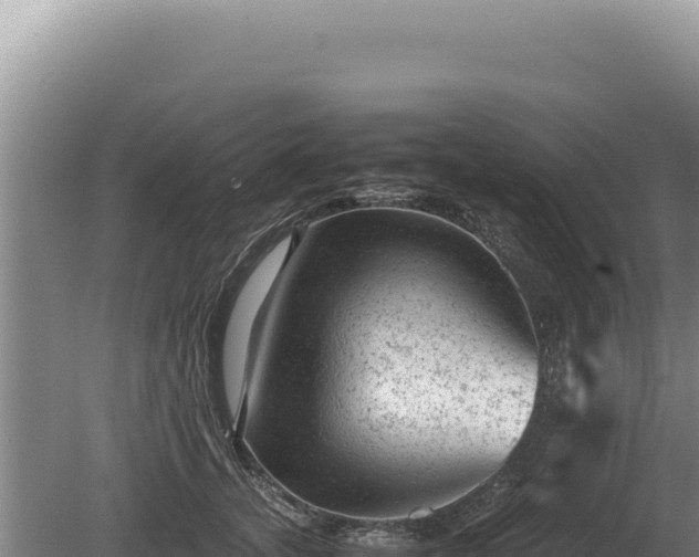 X0000081470755200701191805