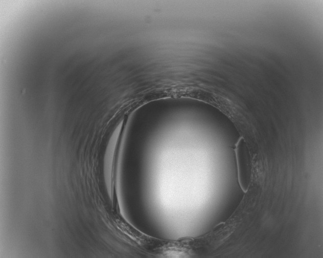 X0000081470756200701191805