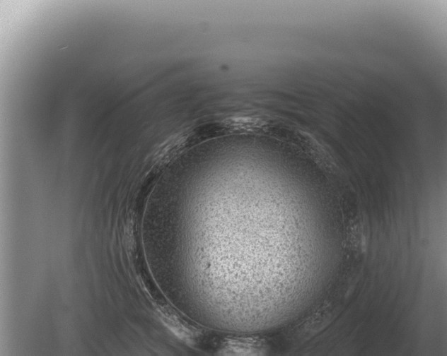 X0000081470757200701191805