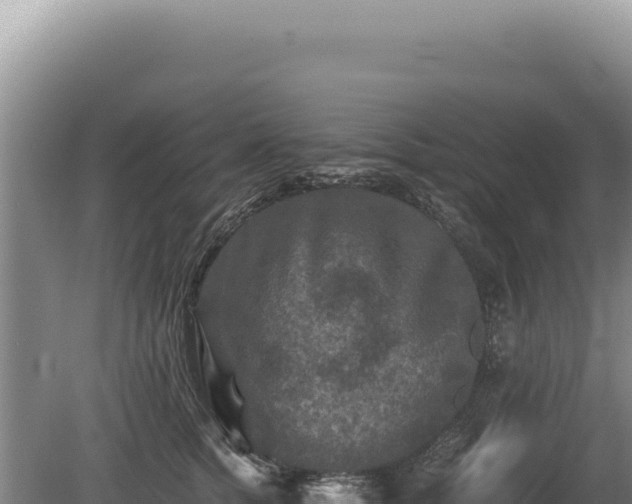 X0000081470758200701191805