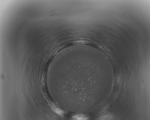 X0000081470759200701191805