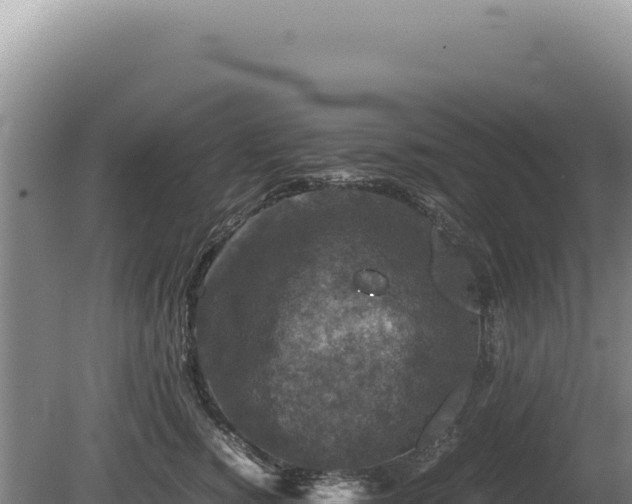 X0000081470760200701191805