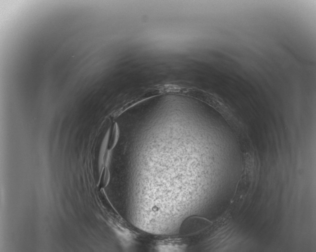 X0000081470761200701191805