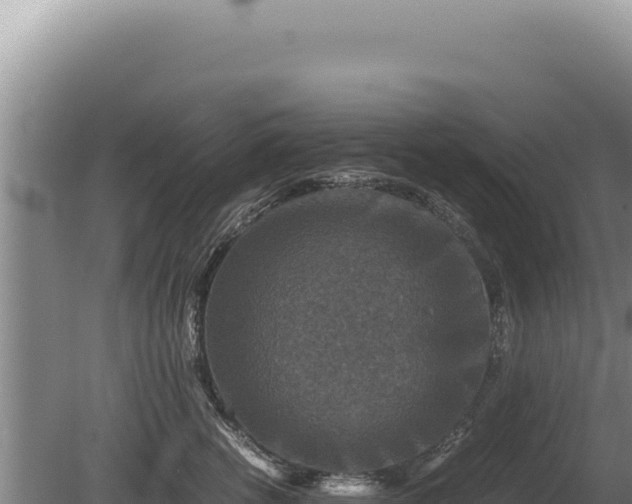 X0000081470762200701191805