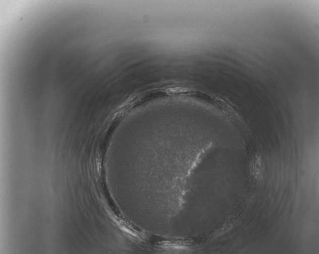 X0000081470763200701191805