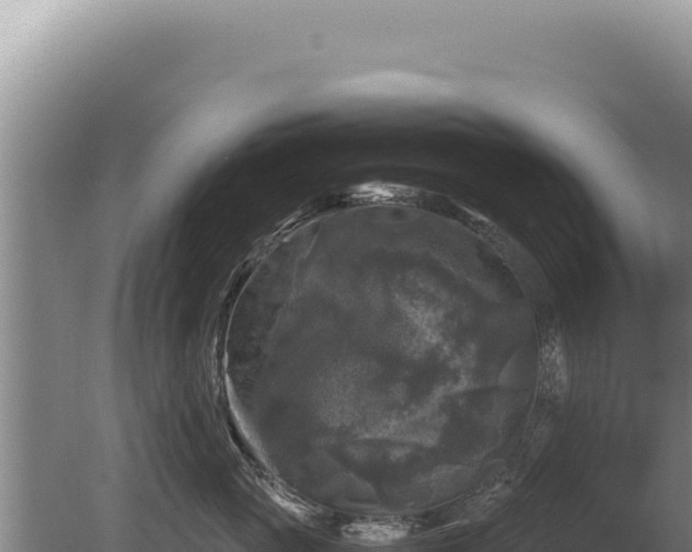 X0000081470765200701191806