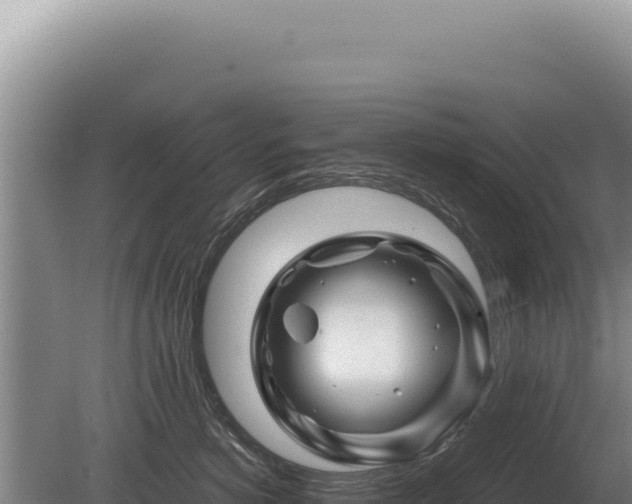 X0000081470766200701191806