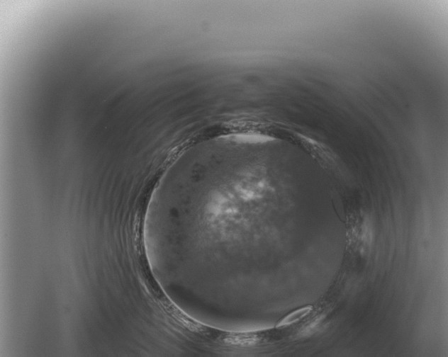 X0000081470767200701191806