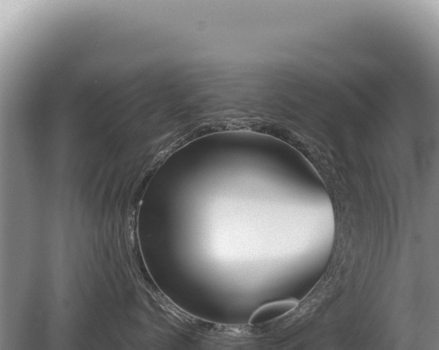 X0000081470768200701191806