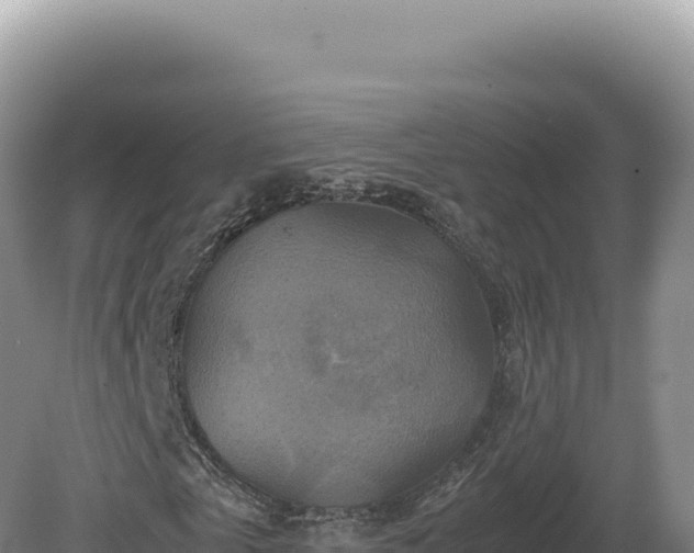 X0000081470769200701191805