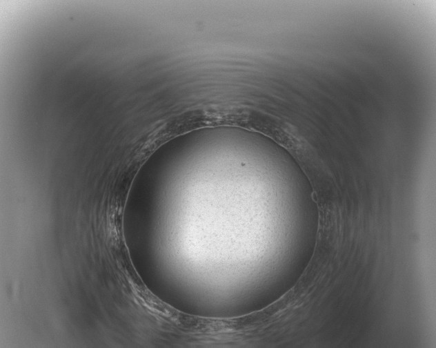 X0000081470770200701191805