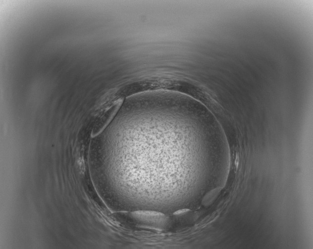 X0000081470771200701191805