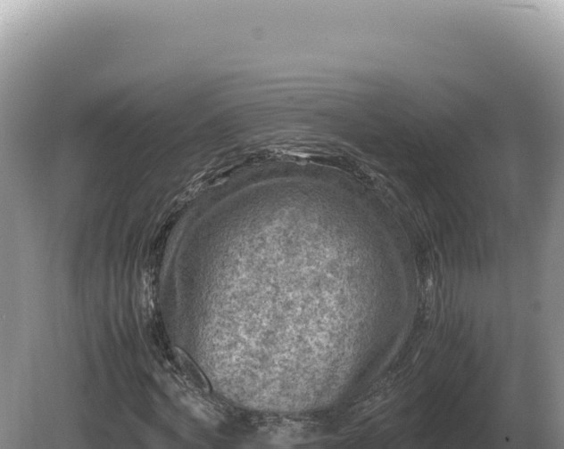 X0000081470772200701191805