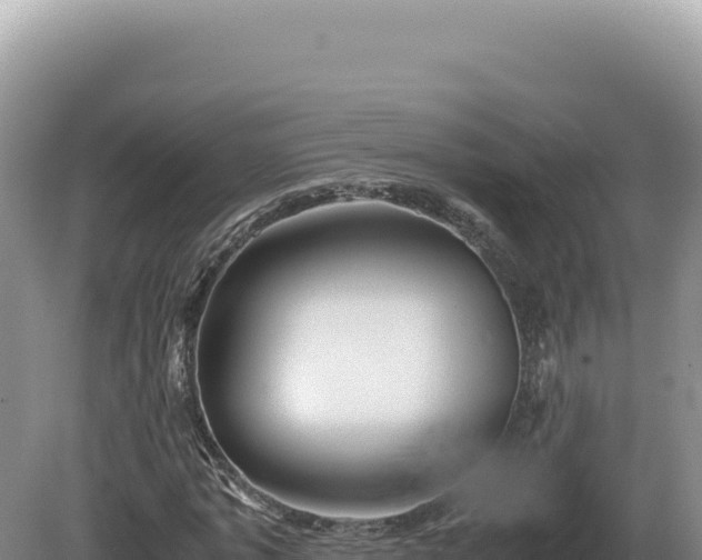 X0000081470773200701191805