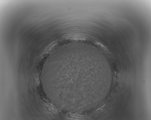 X0000081470774200701191805