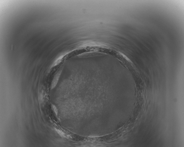 X0000081470775200701191805