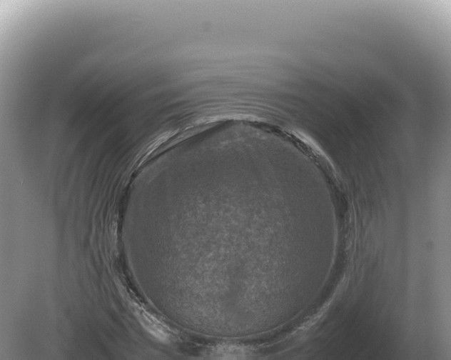 X0000081470777200701191805