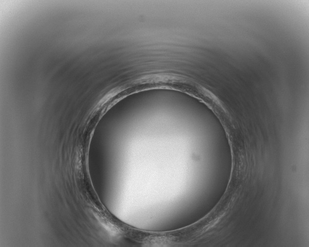 X0000081470778200701191805