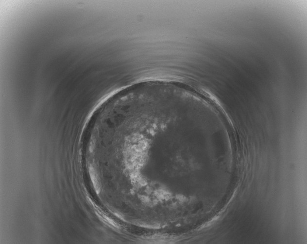 X0000081470779200701191805