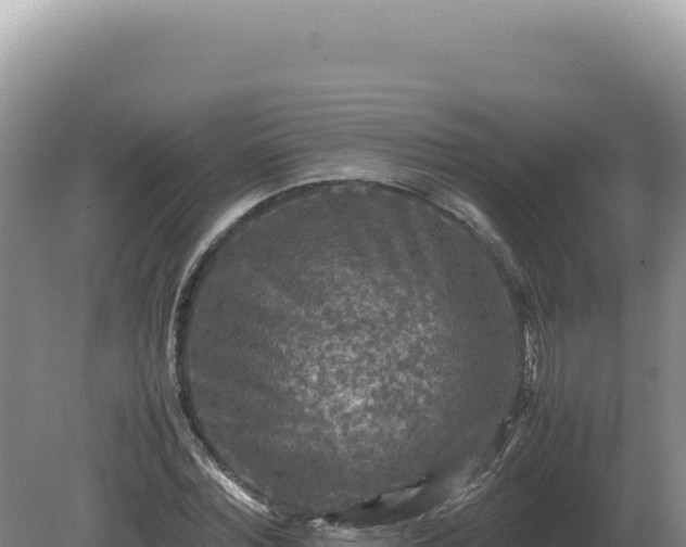 X0000081470780200701191805