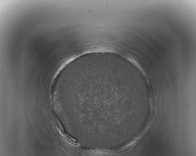 X0000081470781200701191805