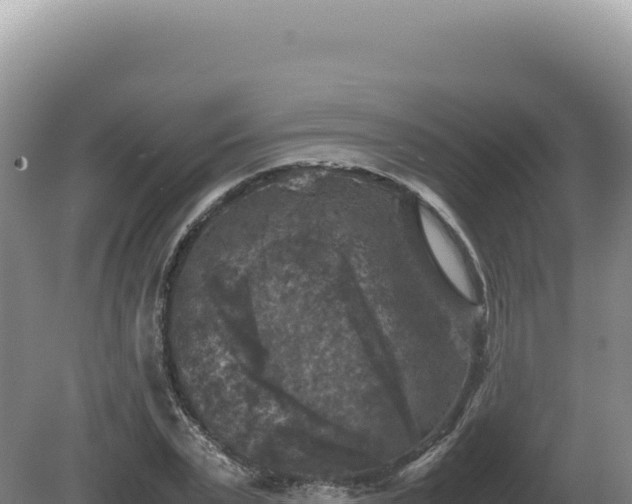 X0000081470783200701191805