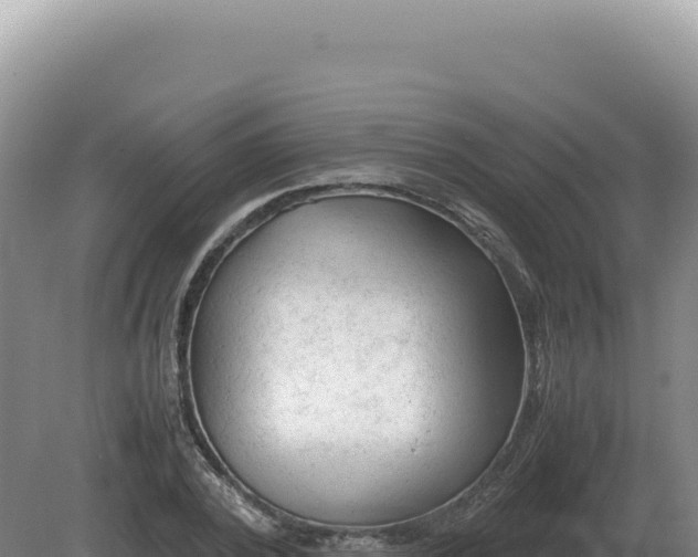 X0000081470784200701191804