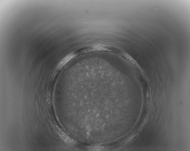 X0000081470785200701191804