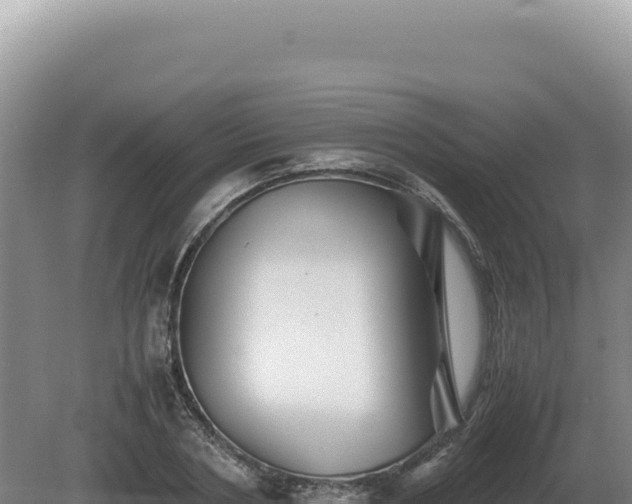 X0000081470786200701191804