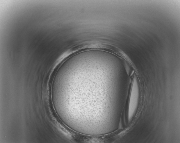 X0000081470787200701191804