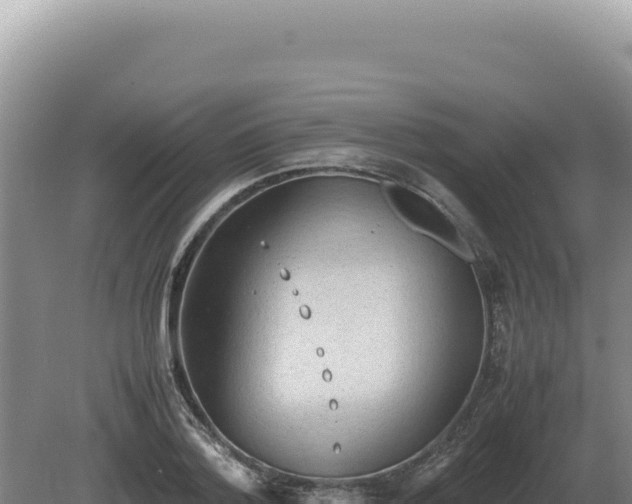 X0000081470788200701191804