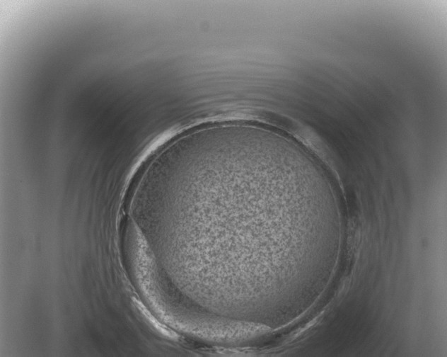 X0000081470789200701191804