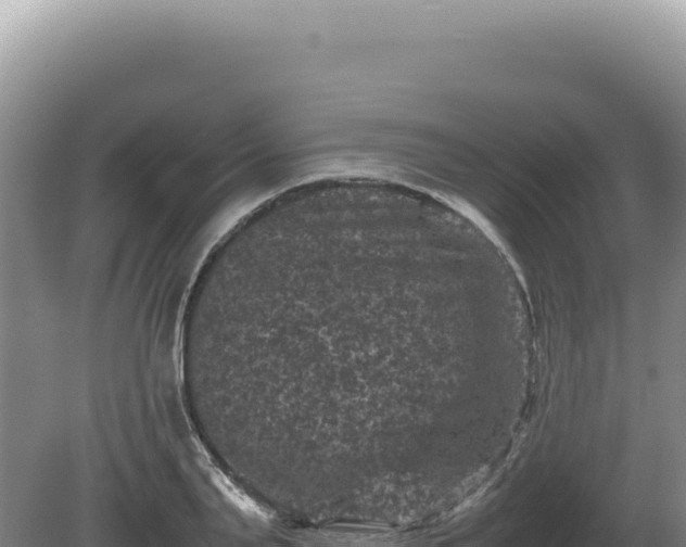 X0000081470791200701191804